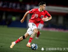 IM体育平台-包含奥地利队险胜瑞典队，波尔刷新纪录的词条