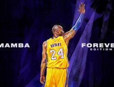 IM体育赛事直播入口-跨越时空的制胜一击，当张继科的藏獒精神注入日本队完胜英格兰之战