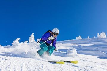 IM体育官网-诺里斯惊艳四座，法拉利力克威廉姆斯，一场技术与勇气的双重胜利