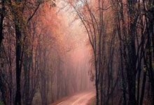 IM体育App下载-包含切尔西老板将更换主教练传闻孔蒂或迪马特奥将接班的词条