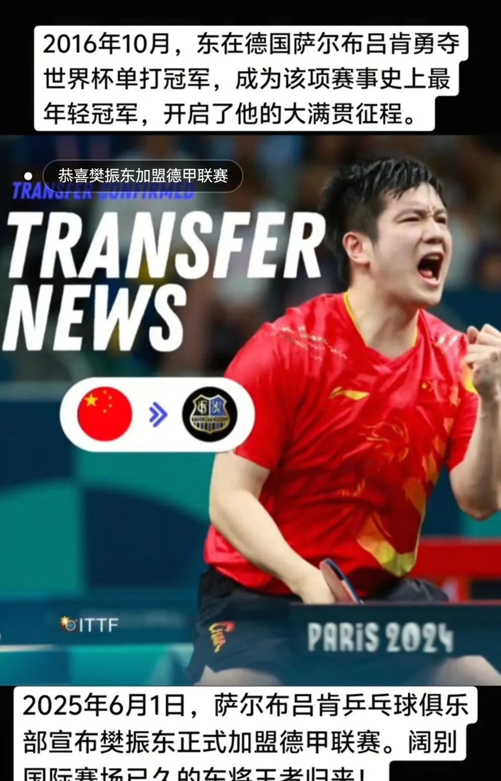 IM体育在线注册-比利时乒乓球队翻盘波兰乒乓球队，樊振东关键制胜的简单介绍