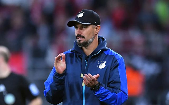 IM体育在线注册-包含客场作战的科隆击败霍芬海姆，战绩稳定的词条