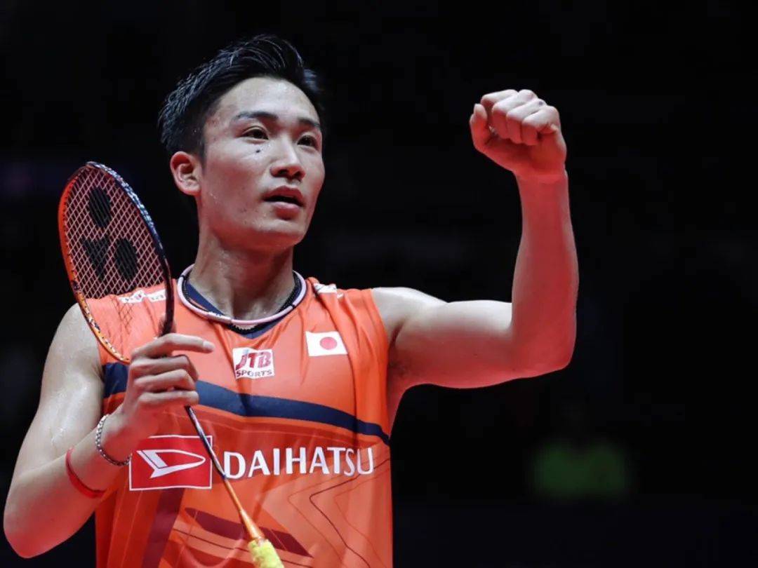 IM体育官方平台-德国队完胜日本队，桃田贤斗惊艳四座的简单介绍