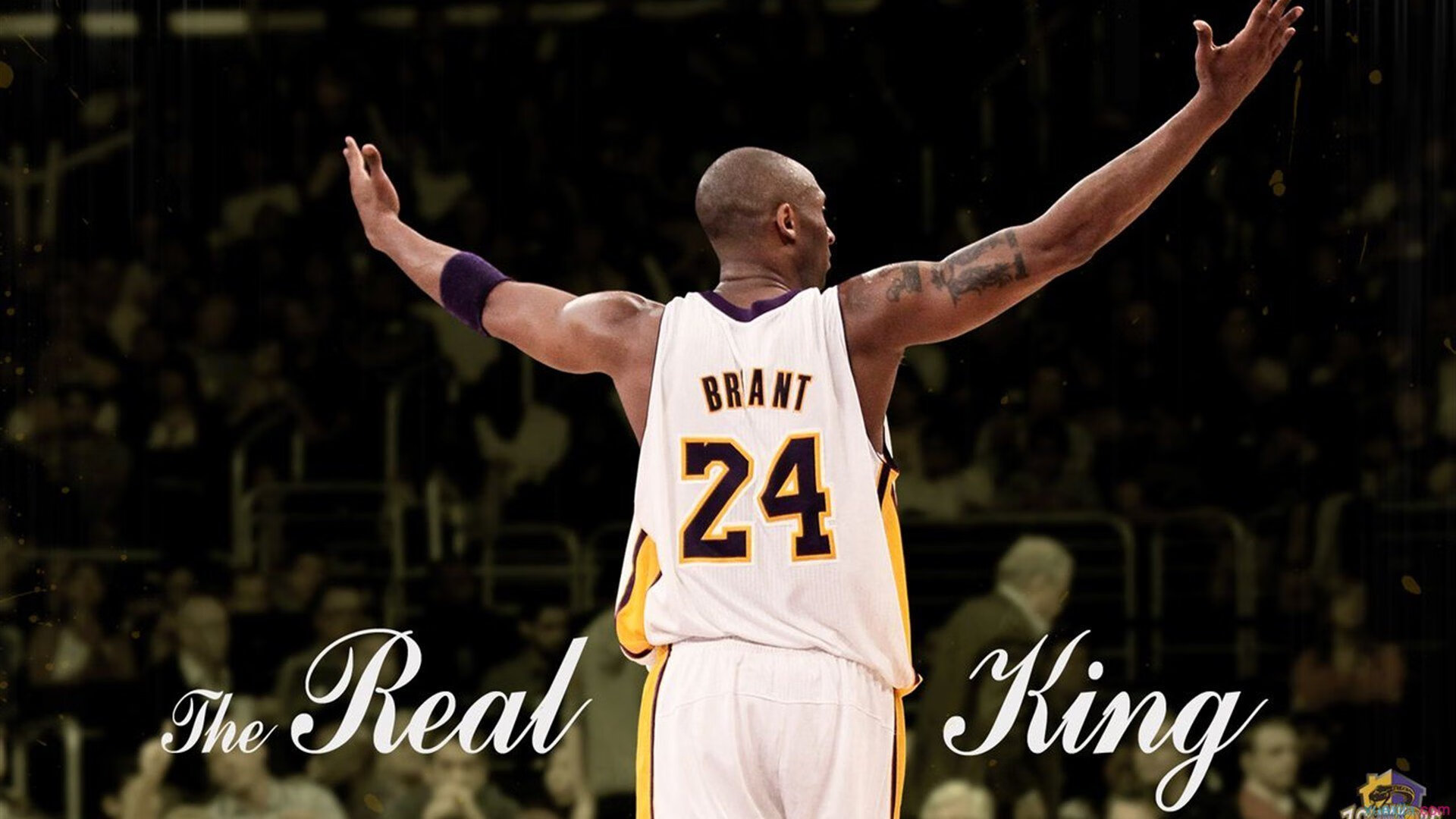 IM体育-东决关键战之夜，西亚卡姆个人能力完全展现